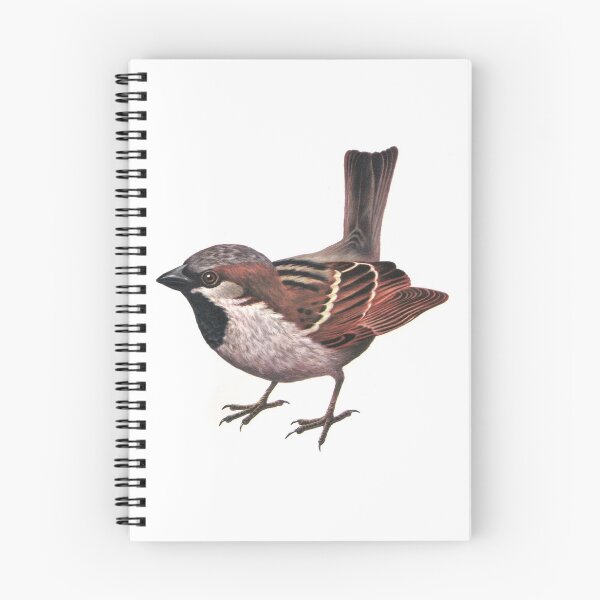 Item preview, Sparrow designed and sold by meteora.