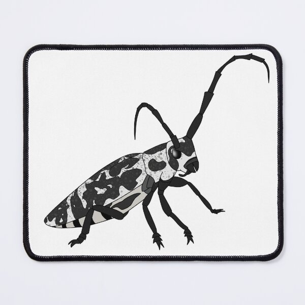 Item preview, Cottonwood Borer designed and sold by EchoSkyArt.