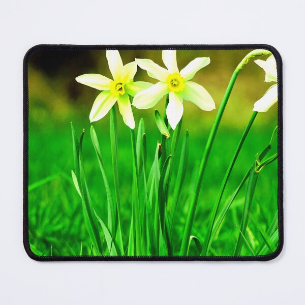 Item preview, artistic painting, fantastic works of art, beautiful landscape designed and sold by Tiziza.