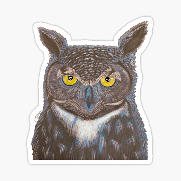 Night Owl Sticker