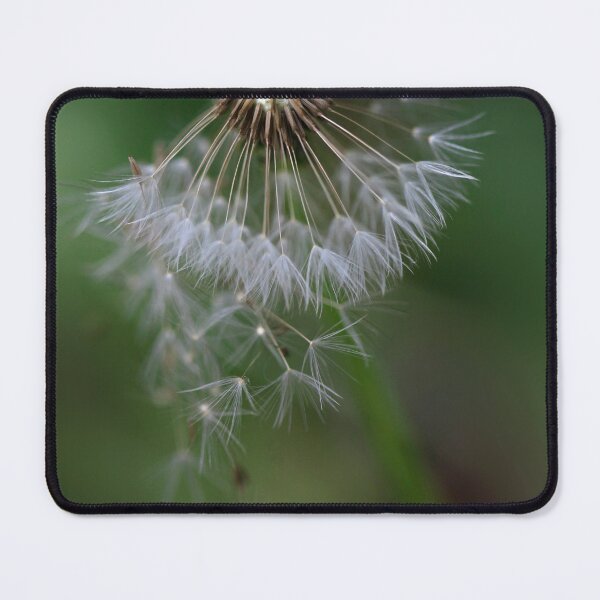 Item preview, White dandelion on green background designed and sold by olena2552.