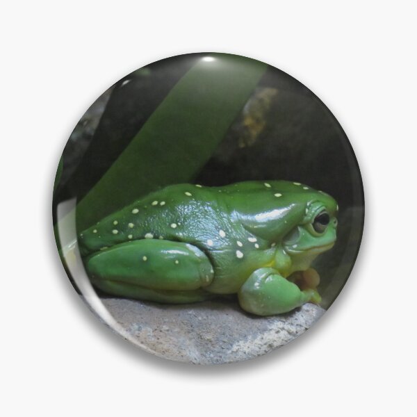 Item preview, Magnificent tree frog designed and sold by greentiger1.