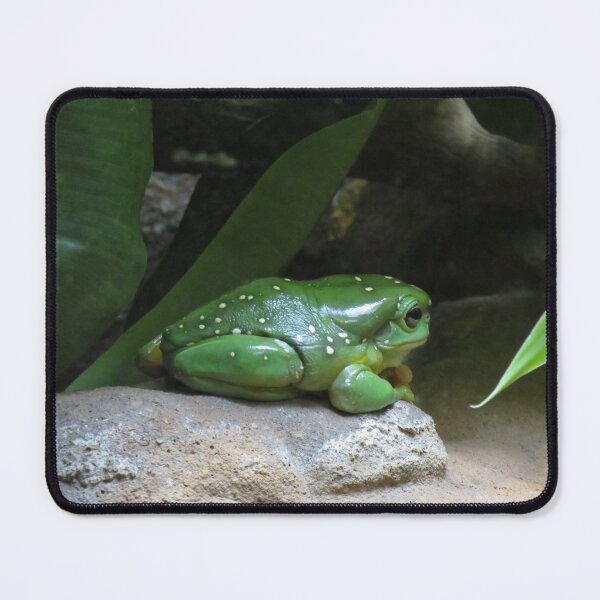 Item preview, Magnificent tree frog designed and sold by greentiger1.
