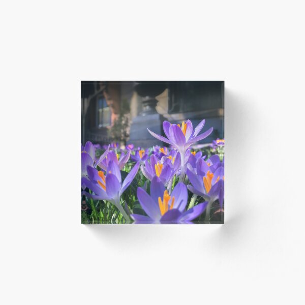 Garden Ahead of Time Acrylic Block