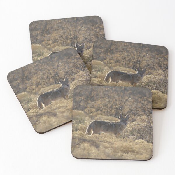 Item preview, Coyote; Cottonwood, AZ designed and sold by leih2008.