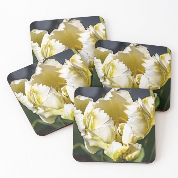 Item preview, Golden Parrot Tulip designed and sold by jillianbutolphphoto.