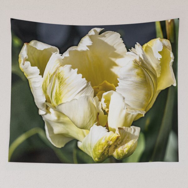 Item preview, Golden Parrot Tulip designed and sold by jillianbutolphphoto.