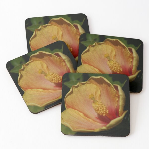 Item preview, Hibiscus, La Mirada, CA USA designed and sold by leih2008.