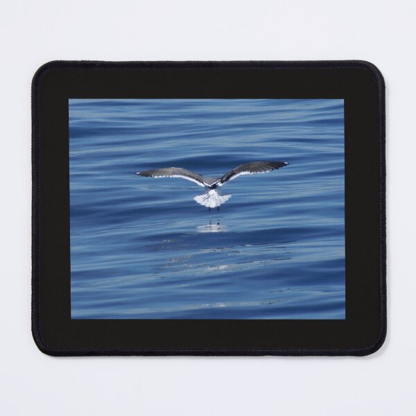 Item preview, Landing #1; Marina Del Rey, CA USA designed and sold by leih2008.
