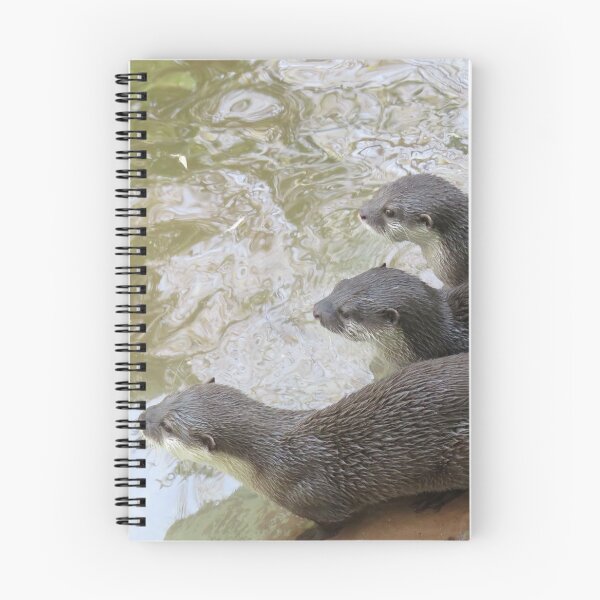 Item preview, Three otters designed and sold by greentiger1.