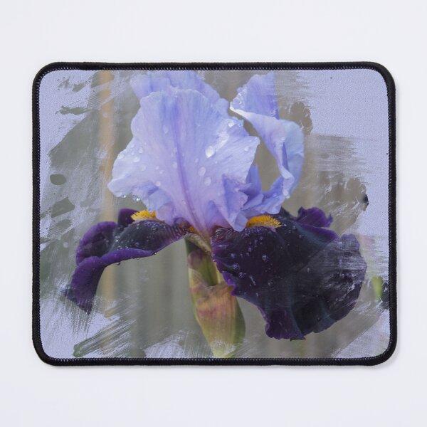 Item preview, Iris designed and sold by Goldenskik.