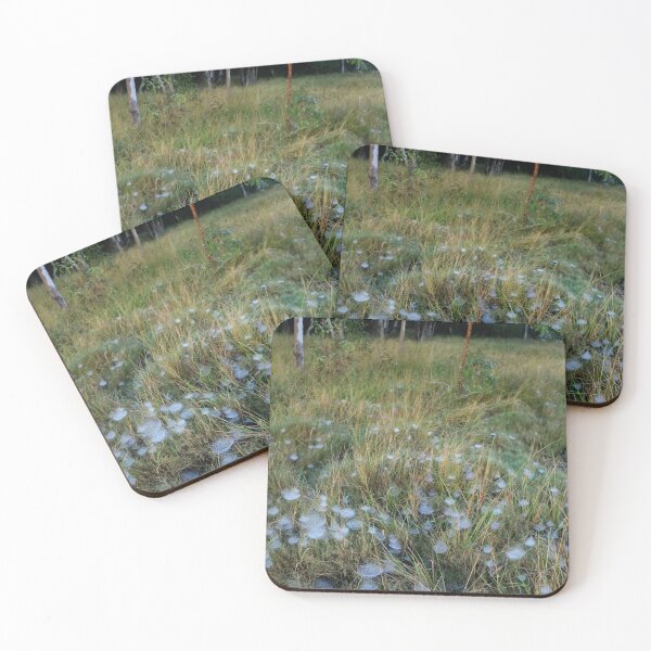 Item preview, Webs and Trees, Thorneside, Queensland designed and sold by Geoff Treagus.