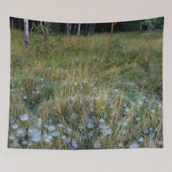 Item preview, Webs and Trees, Thorneside, Queensland designed and sold by Geoff Treagus.