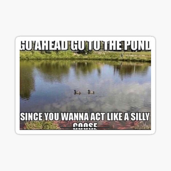 go-ahead-go-to-the-pond-since-you-wanna-act-like-a-silly-goose