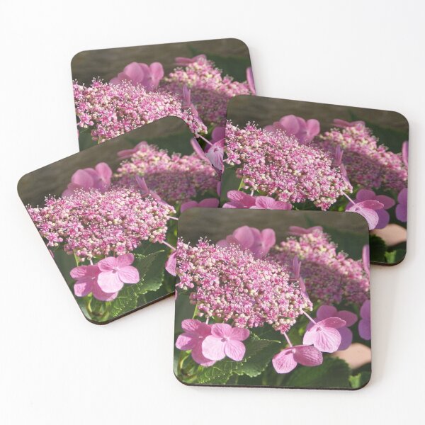 Item preview, Hydrangea; Lakewood, CA USA  designed and sold by leih2008.