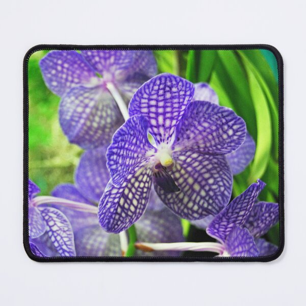 Item preview, Blue Orchid designed and sold by treborbob.