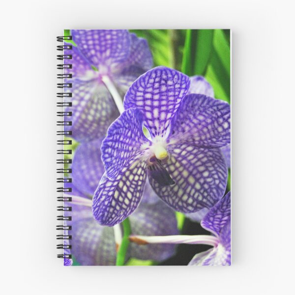 Item preview, Blue Orchid designed and sold by treborbob.