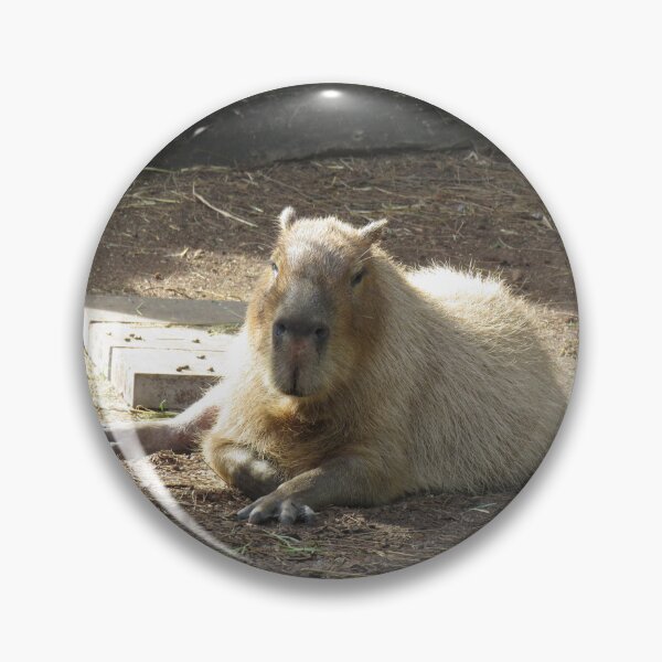Item preview, Resting capybara designed and sold by greentiger1.