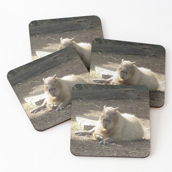 Item preview, Resting capybara designed and sold by greentiger1.