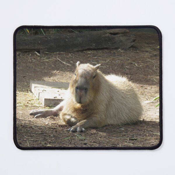 Item preview, Resting capybara designed and sold by greentiger1.
