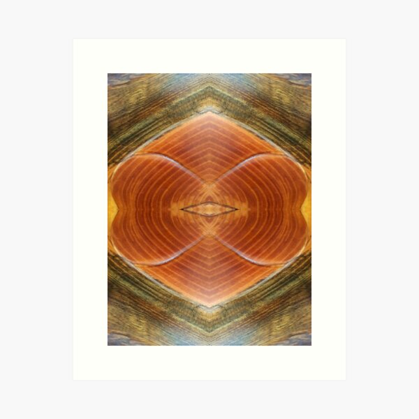 Wood Grain with Heart by Adelaide Artist Avril Thomas Art Print