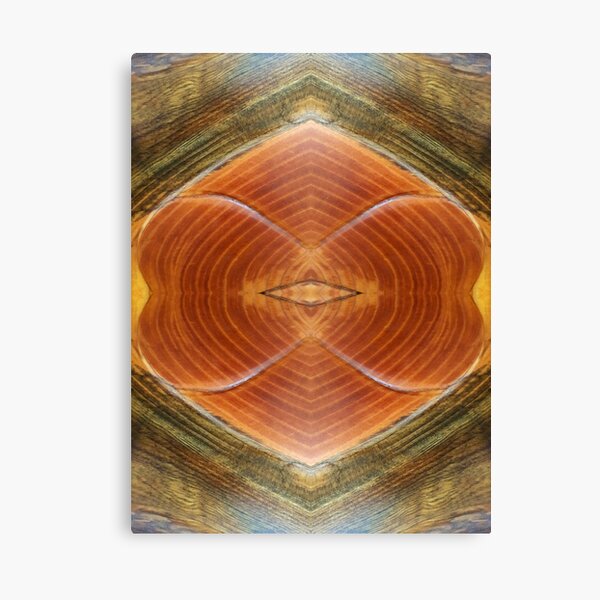 Wood Grain with Heart by Adelaide Artist Avril Thomas Canvas Print