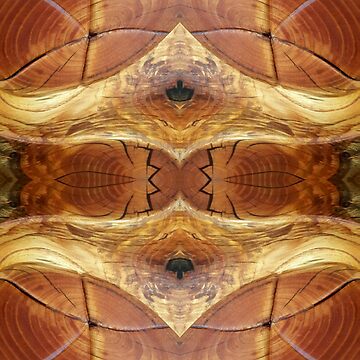 Artwork thumbnail, Golden Wood Grain Crown (Large print) by Adelaide Artist Avril Thomas by AvrilThomasart