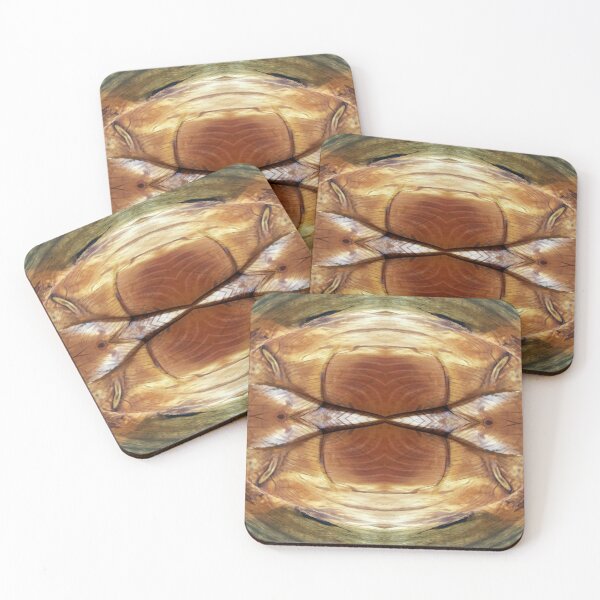 Wood Grain Dolphin by Adelaide Artist Avril Thomas Coasters (Set of 4)