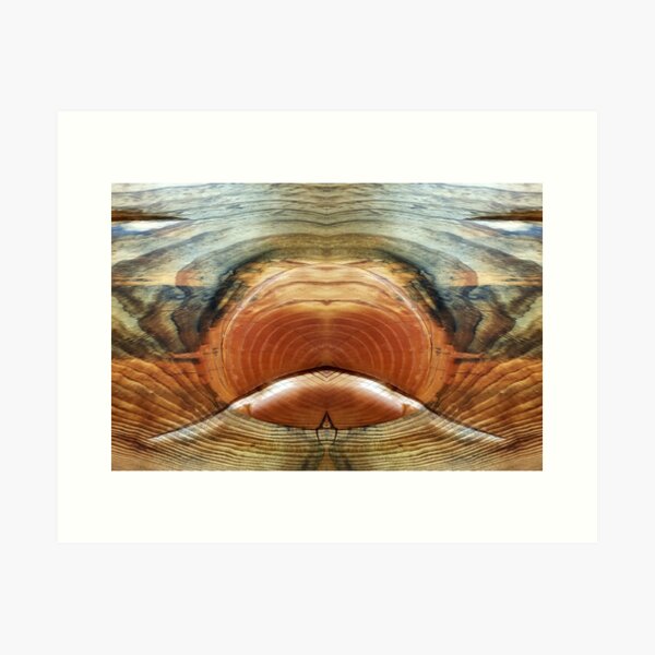Wood Grain Face by Adelaide Artist Avril Thomas Art Print