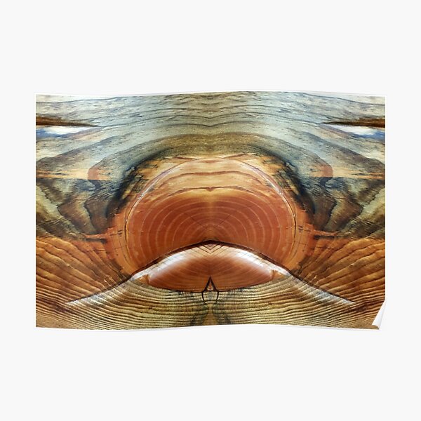 Wood Grain Face by Adelaide Artist Avril Thomas Poster