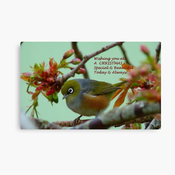 Special & Beautiful - Christmas Greeting Card - NZ Canvas Print