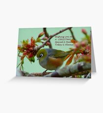 Special & Beautiful - Christmas Greeting Card - NZ Greeting Card