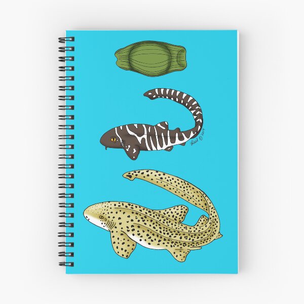 Item preview, Zebra shark life history designed and sold by sharkbait83.