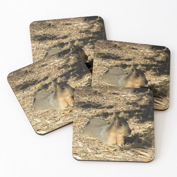 Item preview, Patagonian mara designed and sold by greentiger1.