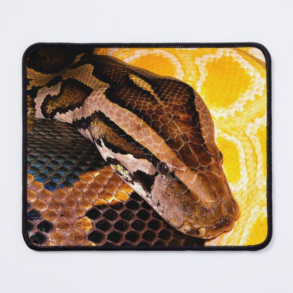 Item preview, Close Up Python Head Yellow Albino Snake designed and sold by halleinstyle.