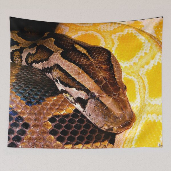 Item preview, Close Up Python Head Yellow Albino Snake designed and sold by halleinstyle.