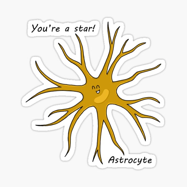 Item preview, You're a star designed and sold by hmurray6.