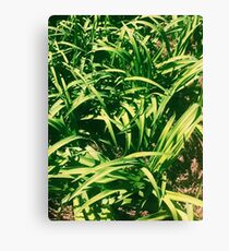 Greenery Canvas Print