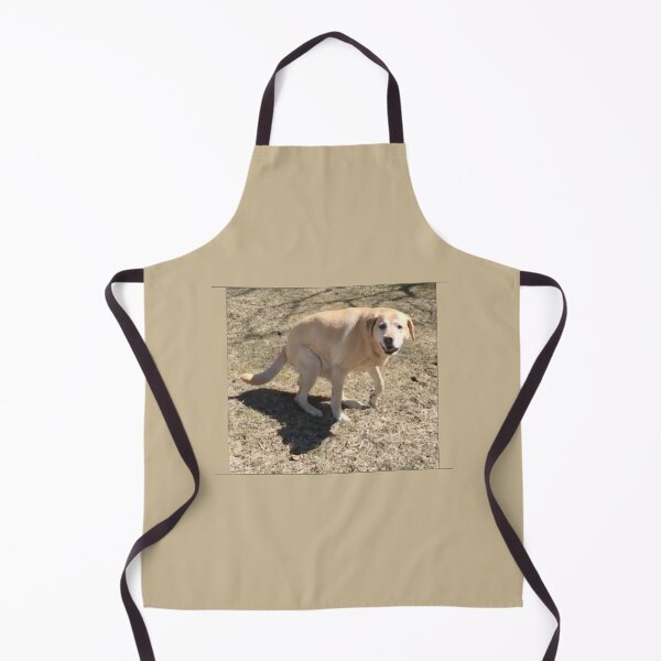 Item preview, Yellow Lab designed and sold by Amanda1775.