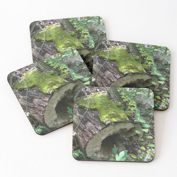 Item preview, Reclaimed by Nature  designed and sold by Amanda1775.