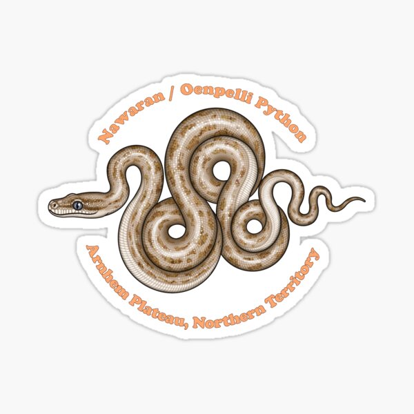 Item preview, Oenpelli Python (Nawaran) designed and sold by miss-varanus.