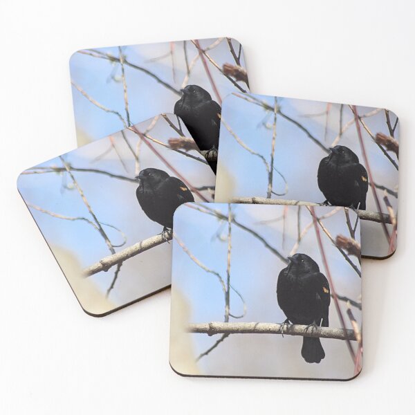 Item preview, REDWING BLACKBIRD PERCHED designed and sold by BOLLA67.