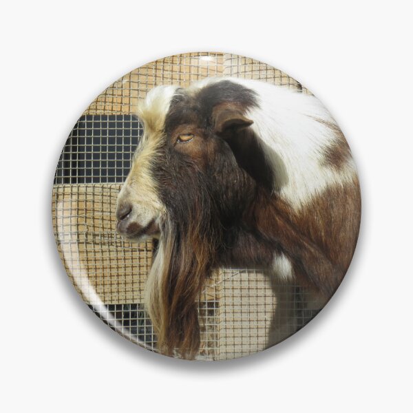 Item preview, The hairy goat designed and sold by greentiger1.