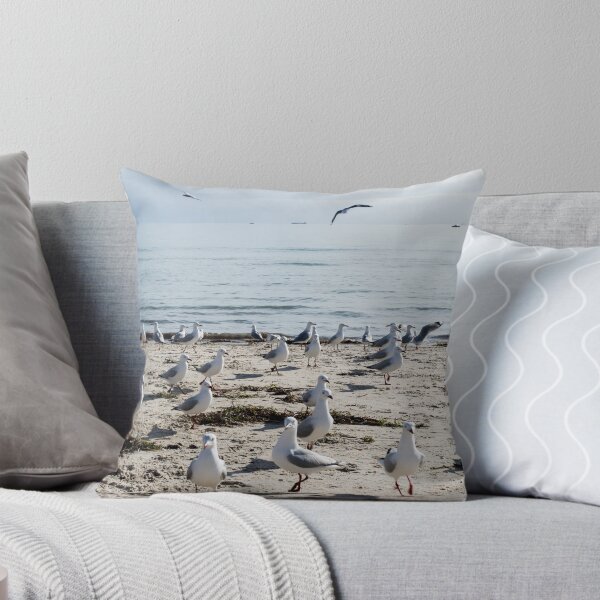 Item preview, Seagulls At Semaphore Beach designed and sold by risingstar.