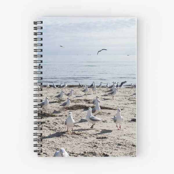 Item preview, Seagulls At Semaphore Beach designed and sold by risingstar.