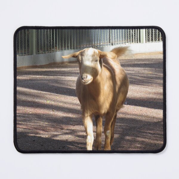 Item preview, The fawn goat designed and sold by greentiger1.
