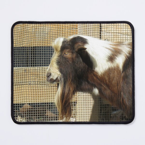 Item preview, The hairy goat designed and sold by greentiger1.