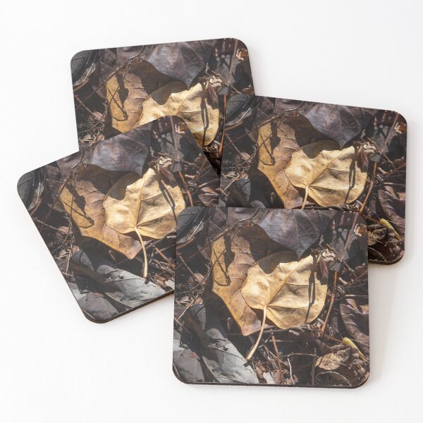 Item preview, Forest Floor 2 designed and sold by Kate Powick.