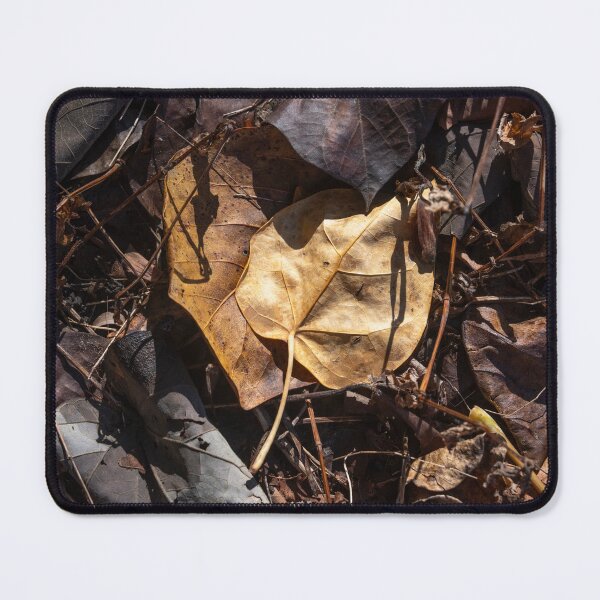 Item preview, Forest Floor 2 designed and sold by Kate Powick.