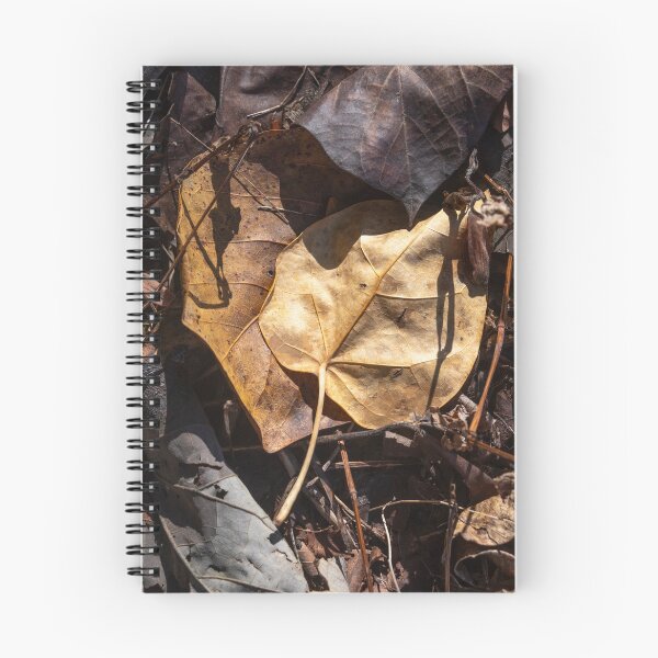 Item preview, Forest Floor 2 designed and sold by Kate Powick.